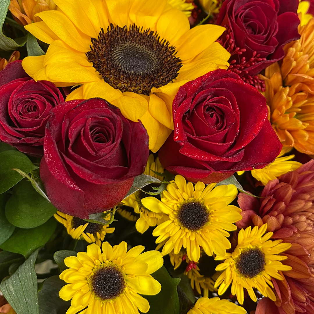 Sunflower Fave Flowers