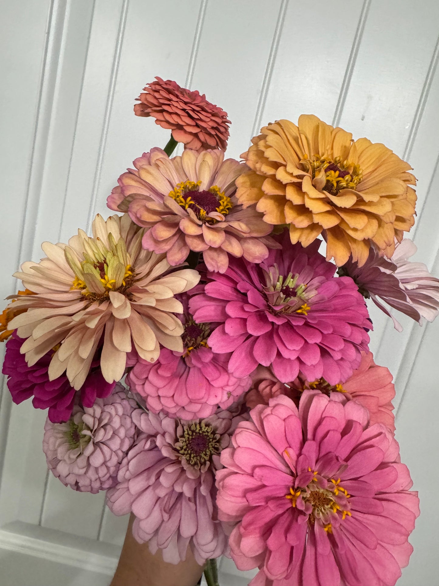 Locally Grown Flowers