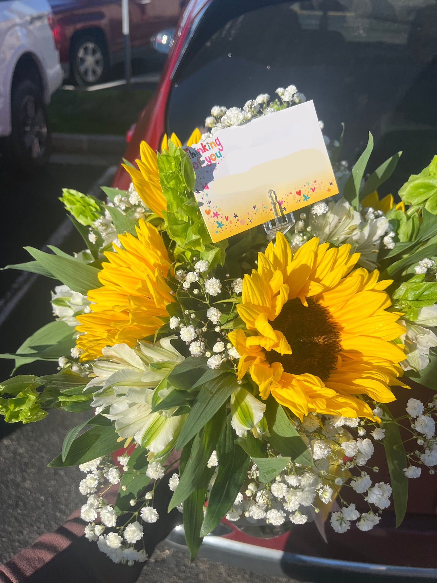 Sunflower Fave Flowers